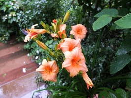 DSCF3580_R