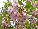 DSCF6959_R