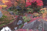 DSCF7988_R