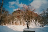 f6abfc39.jpg