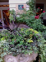 DSCF8975_R
