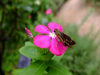 DSCF4547_R