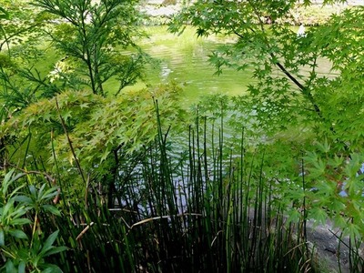 DSCF9186_R