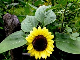 DSCF9081_R