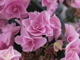 DSCF1770_R