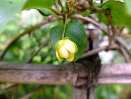 DSCF4397_R
