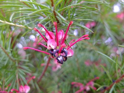 DSCF8417_R