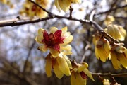 DSCF9484_R