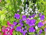 DSCF6949_R
