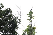 DSCF6200_R