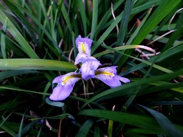 DSCF7362_R