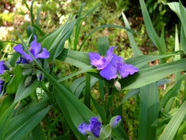 DSCF2122_R