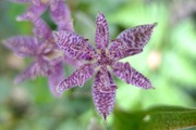 DSCF6917_R