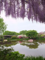 DSCF2271_R