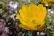 DSCF9542_R