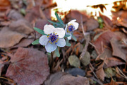 DSCF9500_R
