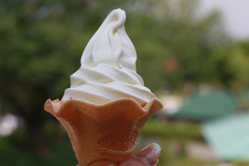 SOFTCREEEEEAM!!!