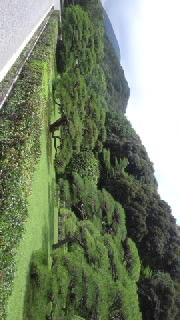372cf8c9.jpg