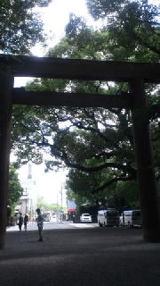 81c4c31d.jpg