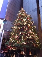 写真 11-11-26 16 17 07
