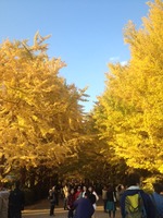写真 (10)