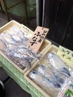 写真 12-01-01 15 18 48