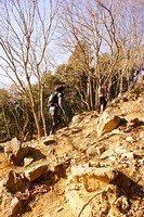 v1325520662