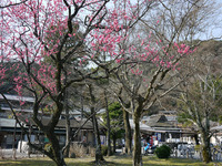 P10402232