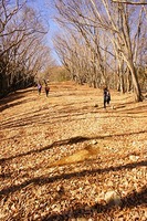 v1325520661