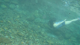 DSC00321