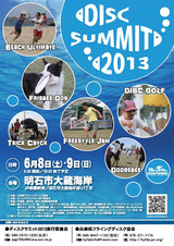 discsummit2013