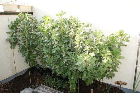 DSC04555