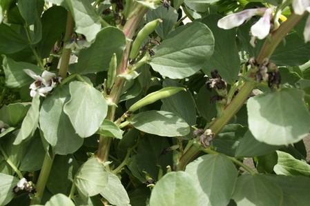 DSC04749
