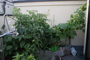 DSC05644