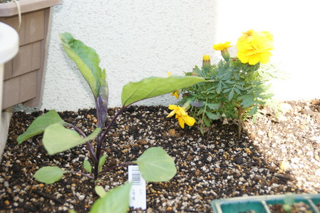 DSC05109