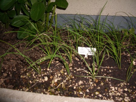 IMGP2391