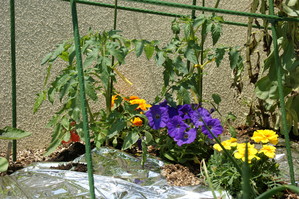 DSC05149