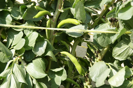 DSC04895