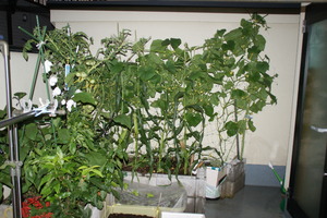 DSC05646