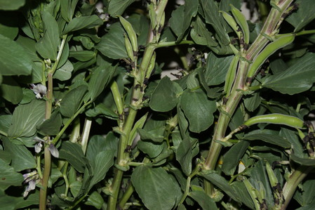 DSC04876