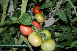 DSC05630