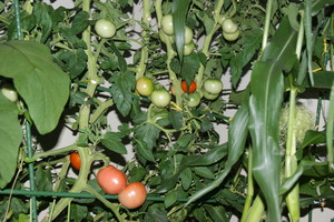 DSC05640