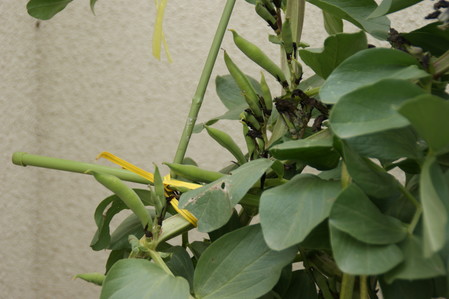 DSC05058