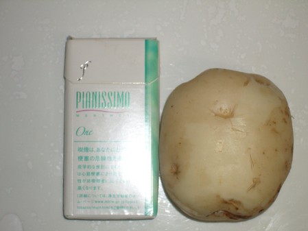 IMGP2427