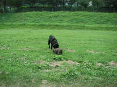 PICT0111