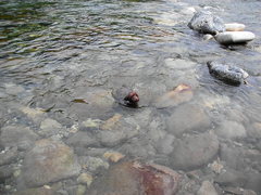 PICT0059