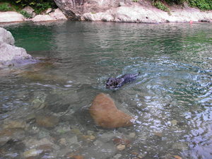 PICT0030