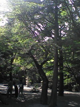 96faa67d.jpg