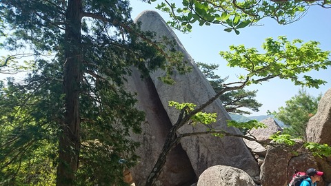 DSC_1319.jpg