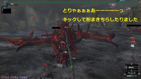 mhf_20130114_212641_768覇ドラ粉
